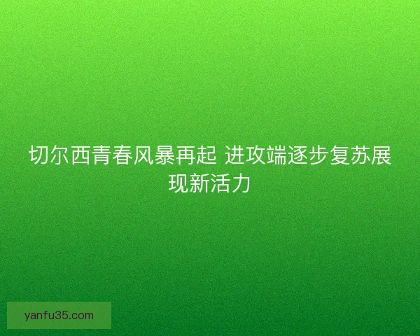 切尔西青春风暴再起 进攻端逐步复苏展现新活力